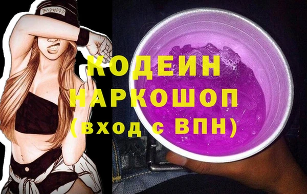 индика Волосово