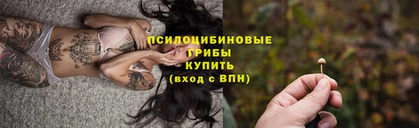 индика Волосово