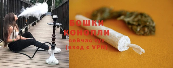 индика Волосово
