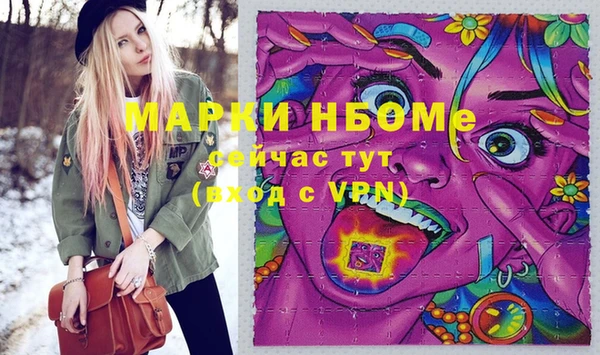 индика Волосово