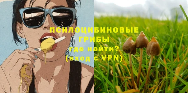 шишки Волоколамск