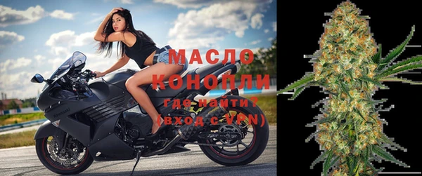 индика Волосово