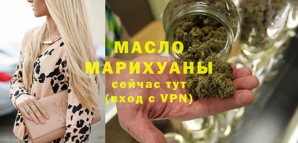 индика Волосово