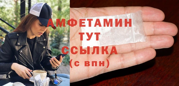 индика Волосово