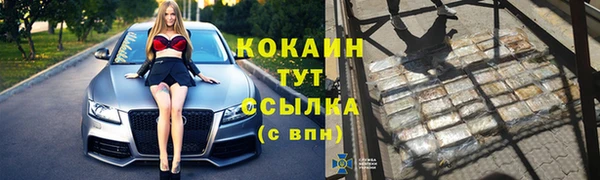 индика Волосово