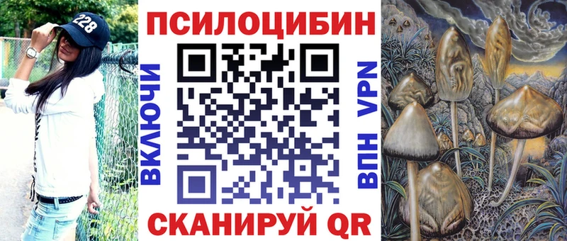 купить закладку  Кашира  KRAKEN как войти  Псилоцибиновые грибы ЛСД 